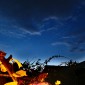 NittelWeinfest13