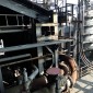 CkubreiseRuhrgebiet111