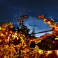 NittelWeinfest11