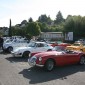 1BenefizClassics2013 144
