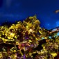 NittelWeinfest12