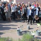 StolpersteineSaarburg10